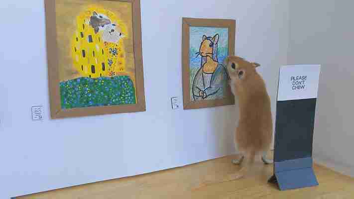 This couple made an adorable art gallery for their gerbils