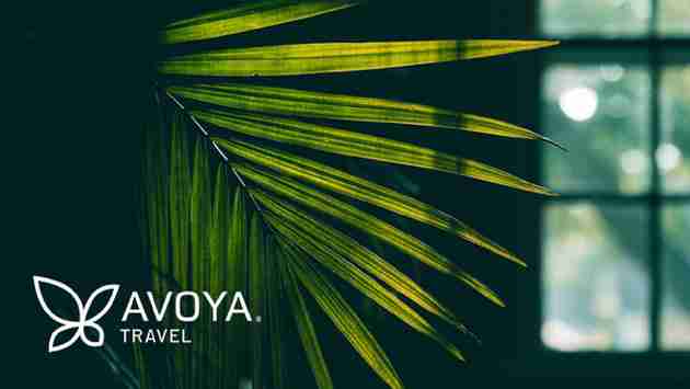 Avoya Reports Successful First Quarter in 2021