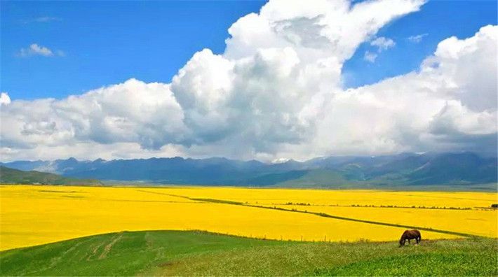 The Silk Road between Qinghai and Dunhuang