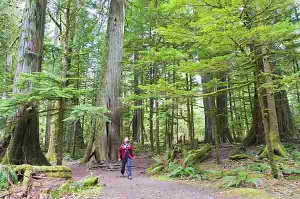 Explore this beautiful Canadian island on a new long-distance trail