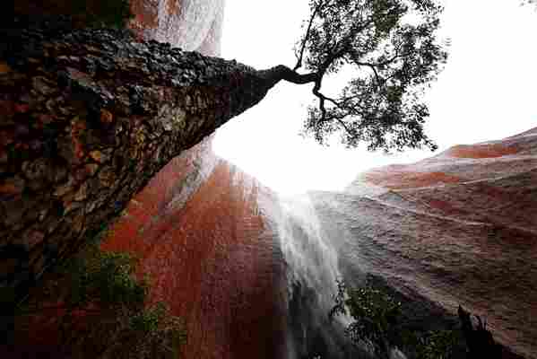 Visitors delight in spotting the rare phenomenon of Uluru Falls